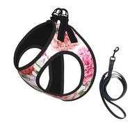 S Pet Leash Vest & Dog Harness - Small Sized Garden Peony Print Leash Set with Buckle, Canine Companion Outdoor Travel