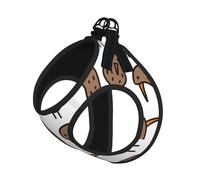 S Pet Leash Vest & Dog Harness - Small Sized Kiwi Bird Cute Print Leash Set, Reflective, Adjustable for Cats & Dogs