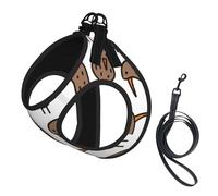 S Pet Leash Vest & Dog Harness - Small Sized Kiwi Bird Cute Print Leash Set, Reflective, Adjustable for Cats & Dogs
