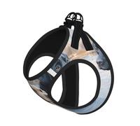 S Pet Leash Vest Dog Harness - Small Sized, labrador dogs Print Adjustable for Outdoor Travel and Walking