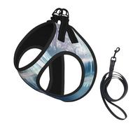 S Pet Leash Vest & Dog Harness - Small Sized Lake fairy Print Leash Set, Reflective, Adjustable for Cats & Dogs