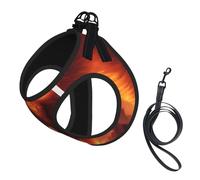 S Pet Leash Vest Dog Harness - Small Sized Leash Set, beautiful phoenix Print Puppy Breathable Mesh for Canine Companions