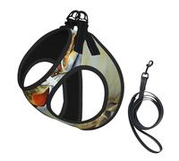 S Pet Leash Vest Dog Harness - Small Sized Leash Set, Brook Trout Fly Fishing Print Puppy Breathable Mesh for Canine Companions
