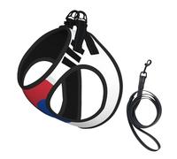 S Pet Leash Vest Dog Harness - Small Sized Leash Set, Flag of Republic of Korea Print Puppy Breathable Mesh for Canine Companions