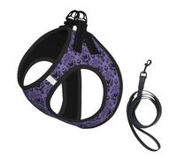 S Pet Leash Vest Dog Harness - Small Sized Leash Set, Haunted Mansion Print Puppy Breathable Mesh for Canine Companions