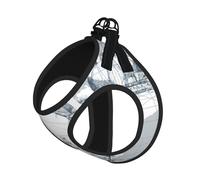 S Pet Leash Vest & Dog Harness - Small Sized Nautical Sailboat Map Print Leash Set, Reflective, Adjustable for Cats & Dogs