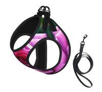 S Pet Leash Vest & Dog Harness - Small Sized Purple Rose Flower Print Leash Set with Buckle, Canine Companion Outdoor Travel