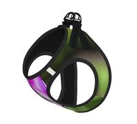 S Pet Leash Vest & Dog Harness - Small Sized Purple Tulip Print Leash Set with Buckle, Canine Companion Outdoor Travel