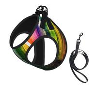 S Pet Leash Vest & Dog Harness - Small Sized Rainbow City Print Leash Set, Reflective, Adjustable for Cats & Dogs