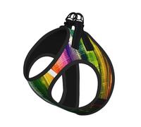 S Pet Leash Vest & Dog Harness - Small Sized Rainbow City Print Leash Set, Reflective, Adjustable for Cats & Dogs