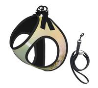 S Pet Leash Vest & Dog Harness - Small Sized Spring Flowers Print Leash Set, Reflective, Adjustable for Cats & Dogs