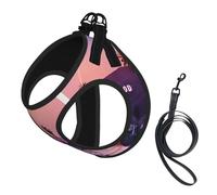 S Pet Leash Vest Dog Harness - Small Sized, The Old Hollywood Print Adjustable for Outdoor Travel and Walking