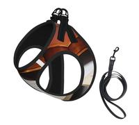 S Pet Leash Vest & Dog Harness - Small Sized Violin Book Print Leash Set with Buckle, Canine Companion Outdoor Travel