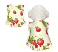 S Pet Sleeveless Lovely Strawberry (1) Print T-Shirt Skirt Clothes
