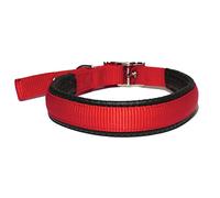 S/PROT DOG COLLAR 3/4 X 20 RED