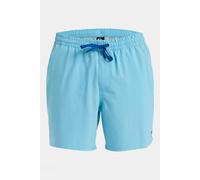 S Quiksilver Mens Surfsilk Solid Volley 16" Swim Shorts Bright Blue Size