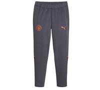 (S R, Grey) Puma Mens Casuals Manchester City FC Tracksuit Bottoms