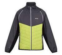 (S, Seal Grey/Green Algae) Regatta Mens Steren Hybrid Soft Shell Jacket