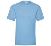 (S, Sky Blue) Fruit Of The Loom Mens Valueweight T-Shirt
