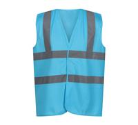 (S, Sky Blue) Regatta Unisex Adult Pro Identity Hi-Vis Vest