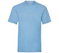 (S, Sky) Fruit of the Loom Mens Valueweight T-Shirt