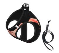 S Small Dog Harness flamingo Print Vest, Walking Set | Circumference Cat Comfort No-Chock Step-In Safety Buckle Canine Companion Outdoor Travel Dog Walking Pet Wear