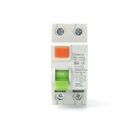 S Type RCCB Time Delayed RCD ELCB Delay Type Differential Switch Electromagnetic Circuit Breaker(2 Pole 100 mA,20A)
