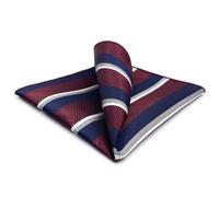 S&W SHLAX&WING Mens Pocket Square Striped Stripes Red Blue Large 12×12 Business for Suit Jacket