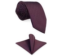 S&W SHLAX&WING Neckties for Men Tie Set with Pocket Square Burgundy Navy Blue Micro-Dot Geometric for Suit Jacket