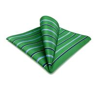 S&W SHLAX&WING Striped Pocket Squares for Men Kelly Green with Blue Stripes Gift