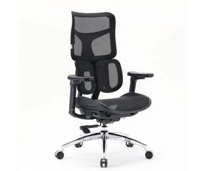 S100-M301 | Sihoo - Professional Office Chair Black