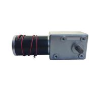 S2IZ5O A5882-45 Worm Gear Motor DC Gear Motor High Torque Low Speed Motor 12V 24V 5/11/12/18/24/36/60/96/120/195RPM(24V 11RPM)