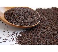 Saara HERBAL FRESH Naai Kadugu, 100g | Dog Mustard | Traduzione Automatica | Erucastrum Gallicum | Helps in cleansing the body(Pack of 1 X 100gm)