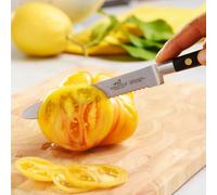 Sabatier Ideal INOX Serrated Utility Knife (12 x 30 x 30 cm)