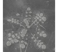 SABLA - MUSIC FOR MELTED FLOORS [VINYL]
