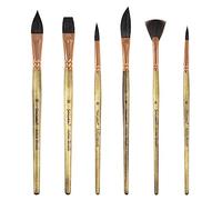 Sable Watercolor Brushes Professional Watercolor Paint Brushes for Artists 6pcs - Variety Shapes with Flat,Pointed Rounds, Dagger Stripper,Fan for Watercolor Acrylic Gouache Inks Painting