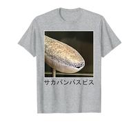 Sacabambaspis Fish Meme Realistic Japanese T-Shirt, Men, Heather Grey, Large