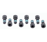 SACHS 1874 000 032 Screw Set, flywheel