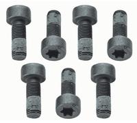 SACHS Screw Set, flywheel 1874 000 040