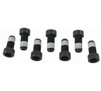 SACHS 1874 000 043 Screw Set, flywheel