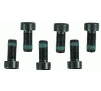 SACHS 1874 000 089 Screw Set, flywheel