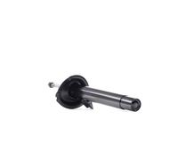 SACHS 317 540 Shock absorber