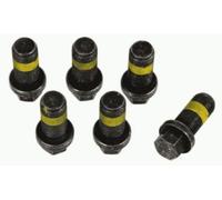 SACHS 1874 000 069 Screw Set, flywheel