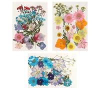 SacJkt Dried Pressed Flowers, Natural Dried Flower Set, 66 PCS Decorative Mixed Dried Flowers, for Girls Makeup, Candle Craft, Resin Mold, Scrapbook, Floral Decorations (Pink + Orange + Blue)