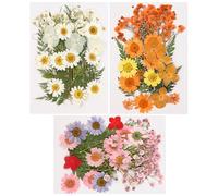 SacJkt Dried Pressed Flowers, Natural Dried Flower Set, 75 PCS Decorative Mixed Dried Flowers, for Girls Makeup, Candle Craft, Resin Mold, Scrapbook, Floral Decorations (White+ Pink + Orange)