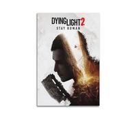 SACPFGUE Dying Light 2 Video Game Poster Poster Decorative Painting Canvas Wall Posters And Art Picture Print Modern Family Bedroom Decor Posters 20x30inch(50x75cm)
