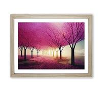 Sacred Cherry Blossom Trees Framed Wall Art Print A2 Oak