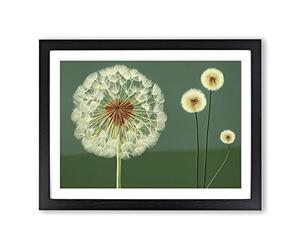 Sacred Dandelion Flowers Framed Print | A3 Black Framed Wall Art | Ready to Hang | Modern Floral Picture | Living Room Bedroom Lounge Office