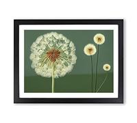 Sacred Dandelion Flowers Framed Print | A4 Black Framed Wall Art | Ready to Hang | Modern Floral Picture | Living Room Bedroom Lounge Office