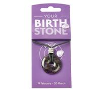 Sacred Essence Pisces Birthstone Pendant 30mm - Amethyst Zodiac Donut Necklace With Charm